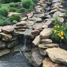 Coy Pond