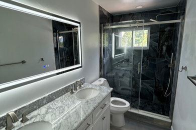 Inspiration for a transitional home design remodel in DC Metro