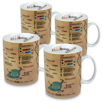 Set of 4 Mugs of Knowledge Biology