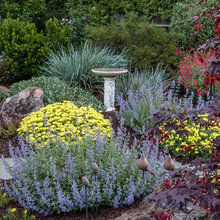 bird bath landscaping
