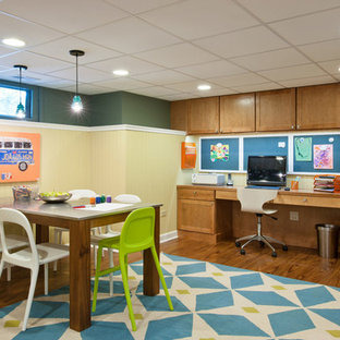 Inspiration for a traditional look-out basement in Chicago with multi-coloured walls.