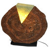 Live Edge Wood sculptural  Light Fixture with glass and LED strip light