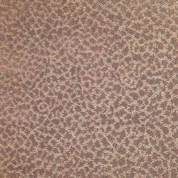Shaw Caress Ultra Soft Carpet - Creative Expression - Flooring