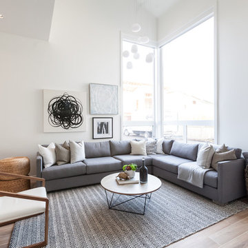 Living Room - Contemporary