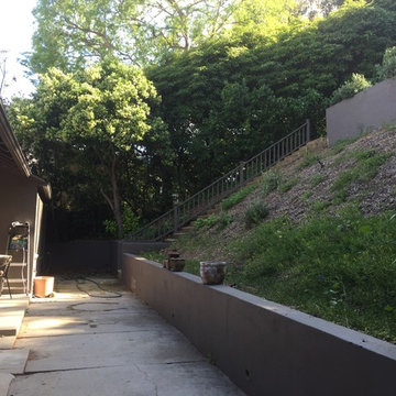 Narrow Back Yard with Steep Slope