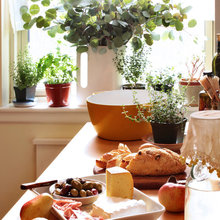 Gardening/landscaping/plants