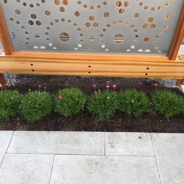 Evergreen perennial planting below the screen