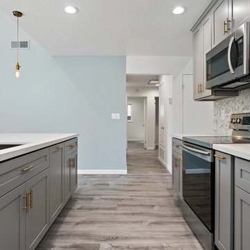 Full House Remodel Fremont JV