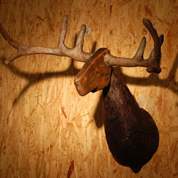 Sculptures - Products