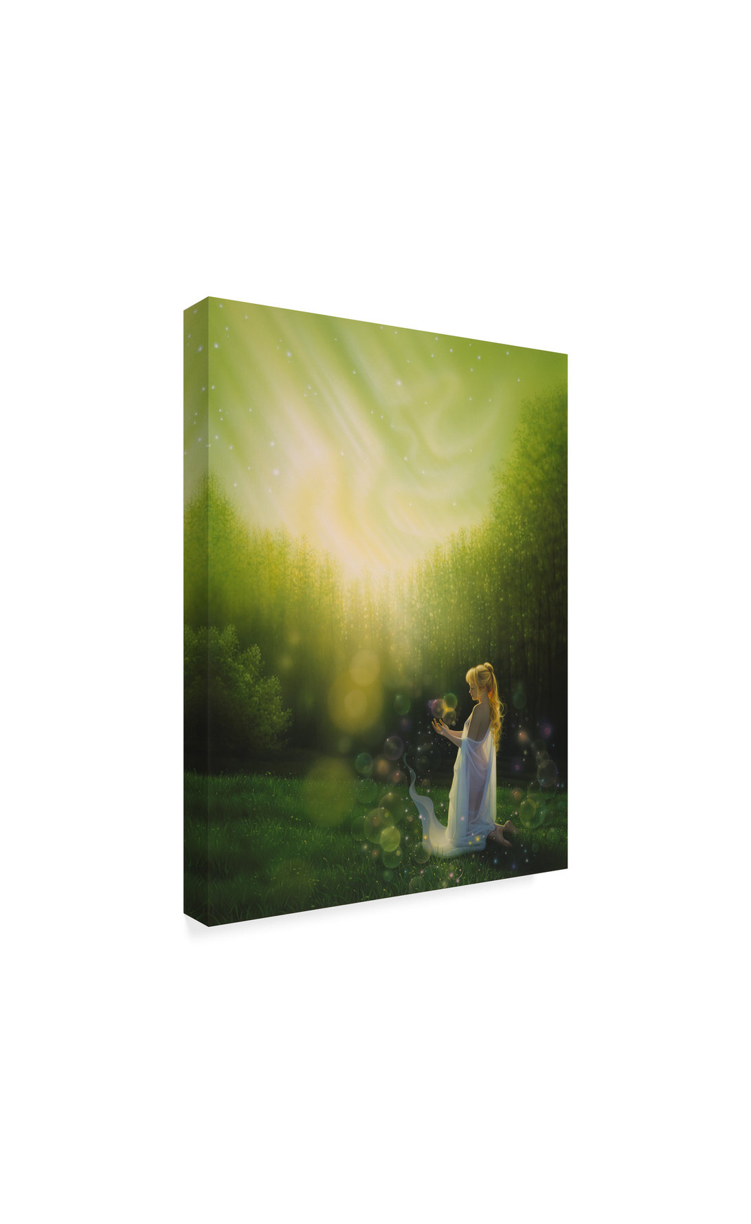 Kirk Reinert 'Celestial Friends' Canvas Art, 32"x24"