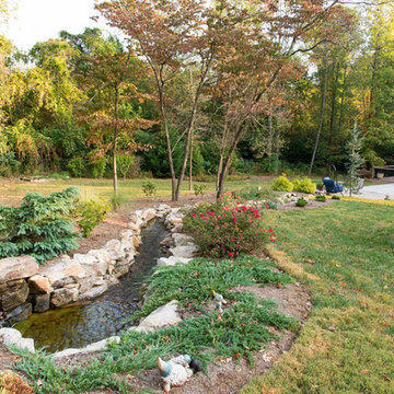 Natural Stream After