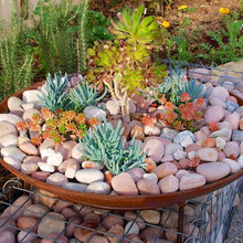 Garden - Containers