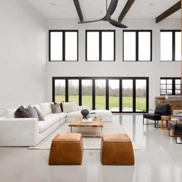Living Room - Contemporary