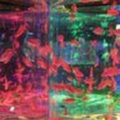 Jodi Higuchis foto