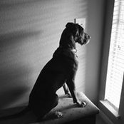 Harper Bryne's photo