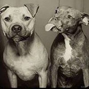 Kacie Chambers's photo