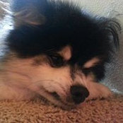 Jenny Tsen's photo