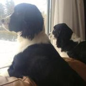 Tracey Bujold's photo