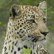 Simon Swale's photo