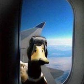 Louis Baltierra's photo