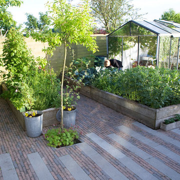 Urban vegetable garden in the polder