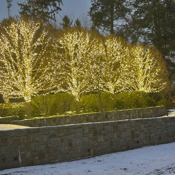 Christmas Decorations and Outdoor Lights