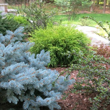 Gardens & walkways in North Andover, MA