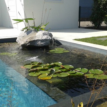 Piscine Naturelle (procédé BIOTOP)