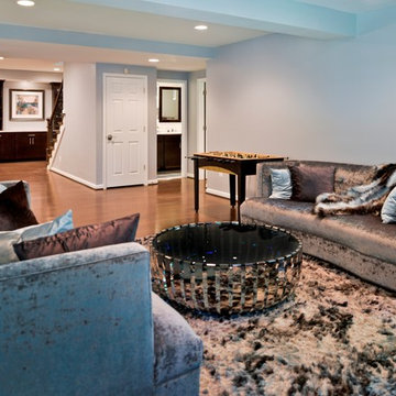Basement to Cherish for Generations in Oak Hill VA