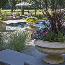 plantings around pool