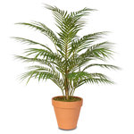 Jenny Silks - Real Touch Artificial Areca Palm Plant in a Small Clay Pot - Real Touch Artificial Areca Palm Plant in a Small Black Clay Pot