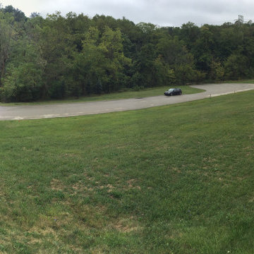 Before - Bare Site