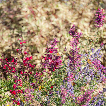 Fall Visits Skyland Drive
