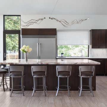 Pickerel Lake Modern