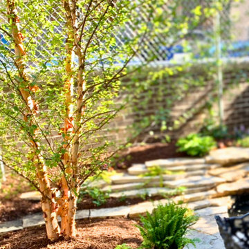 Heritage® River Birch