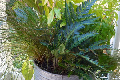 Inspiration for a landscaping in Seattle.