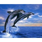 Tenesha Jones's photo