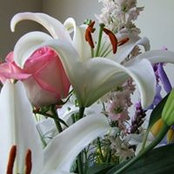 Natalie M.'s photo