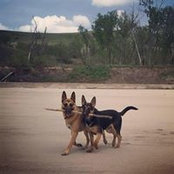 PATTY BERGER's photo