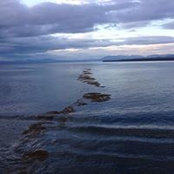 Jeff Wong's photo