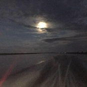 Alan Thornton's photo