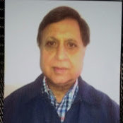 Anil Geras billede