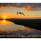 Menra Arnem's photo