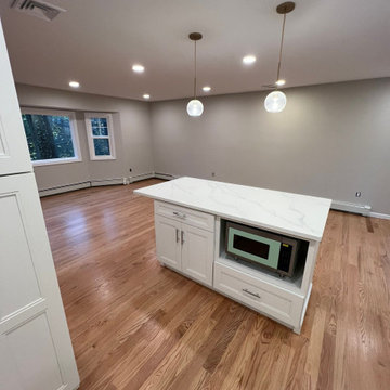 Curtin Open Concept Remodel