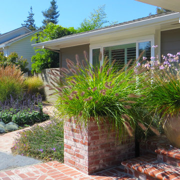 Napa Valley Water-wise Landscape
