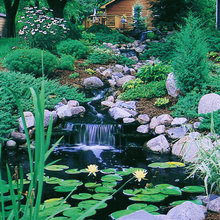 Water Features