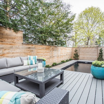 Urban Backyard Retreat