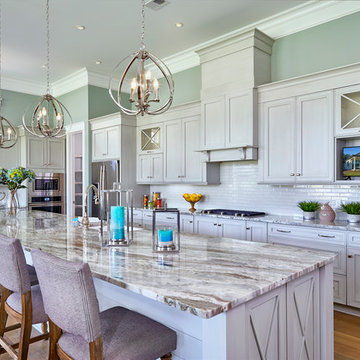 Transitional Kitchen with Crystal Lake door in Lunar Gray