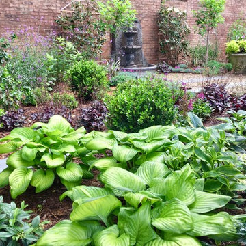 Transitional Courtyard Garden