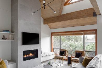 Living room - mid-sized scandinavian vaulted ceiling living room idea in Other